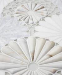 Luxury Collection - Fantasy Fan