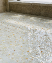 Luxury Collection - Daisy