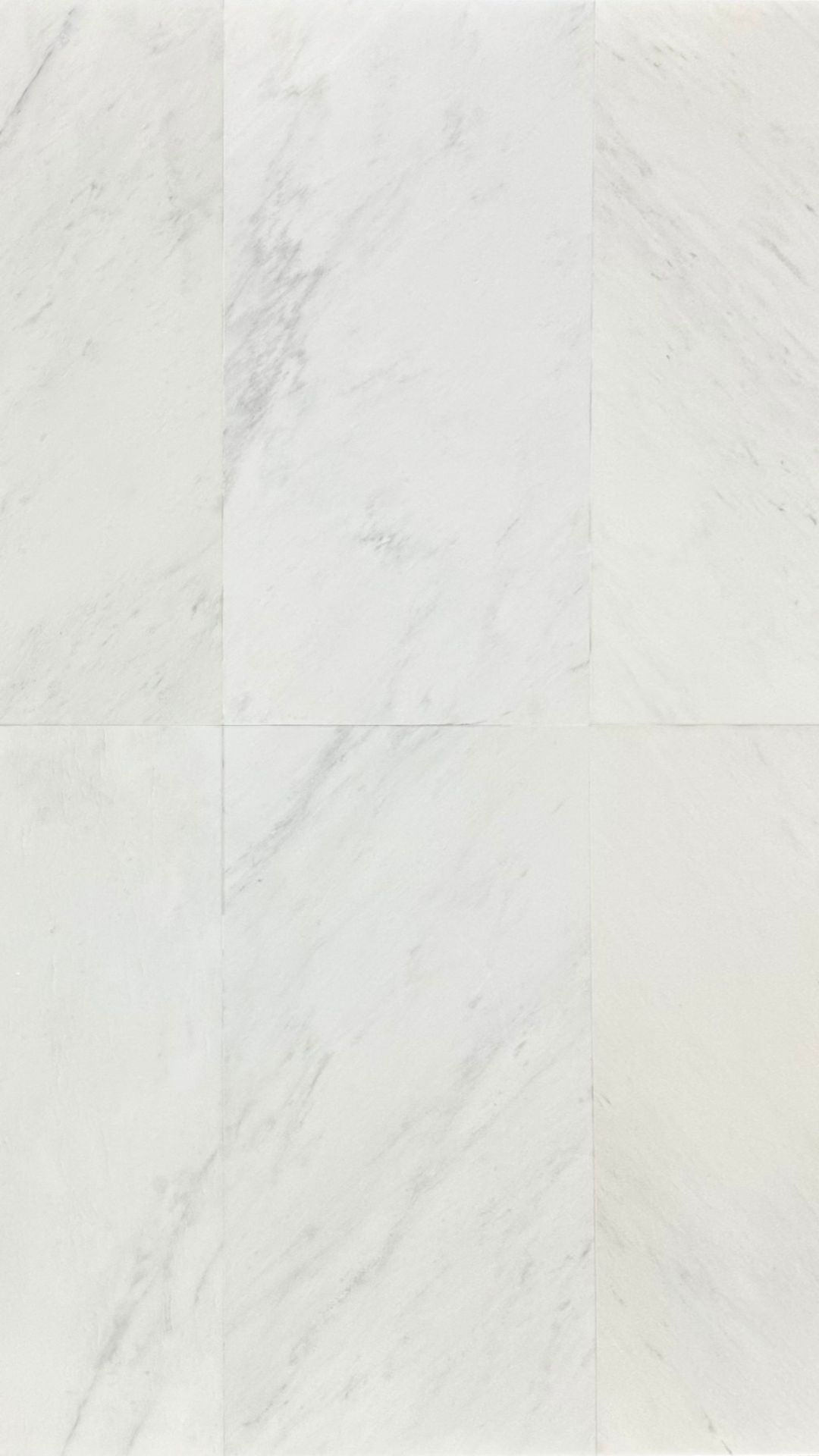 Dynasty White