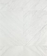 Dynasty White