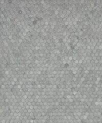 1" Hexagon - Bardiglio Tumbled